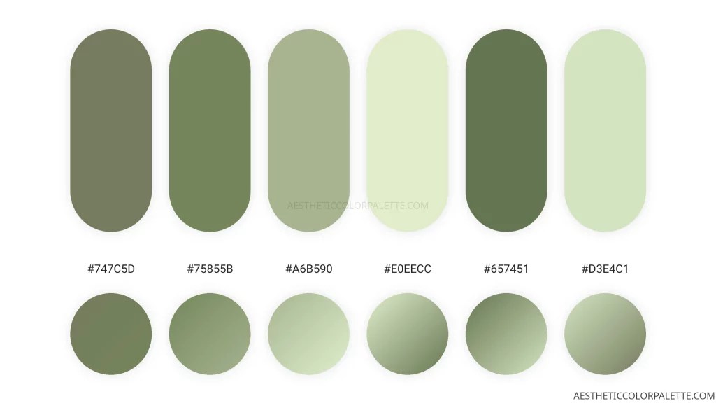 Light Green Colors Aesthetic Color Palette