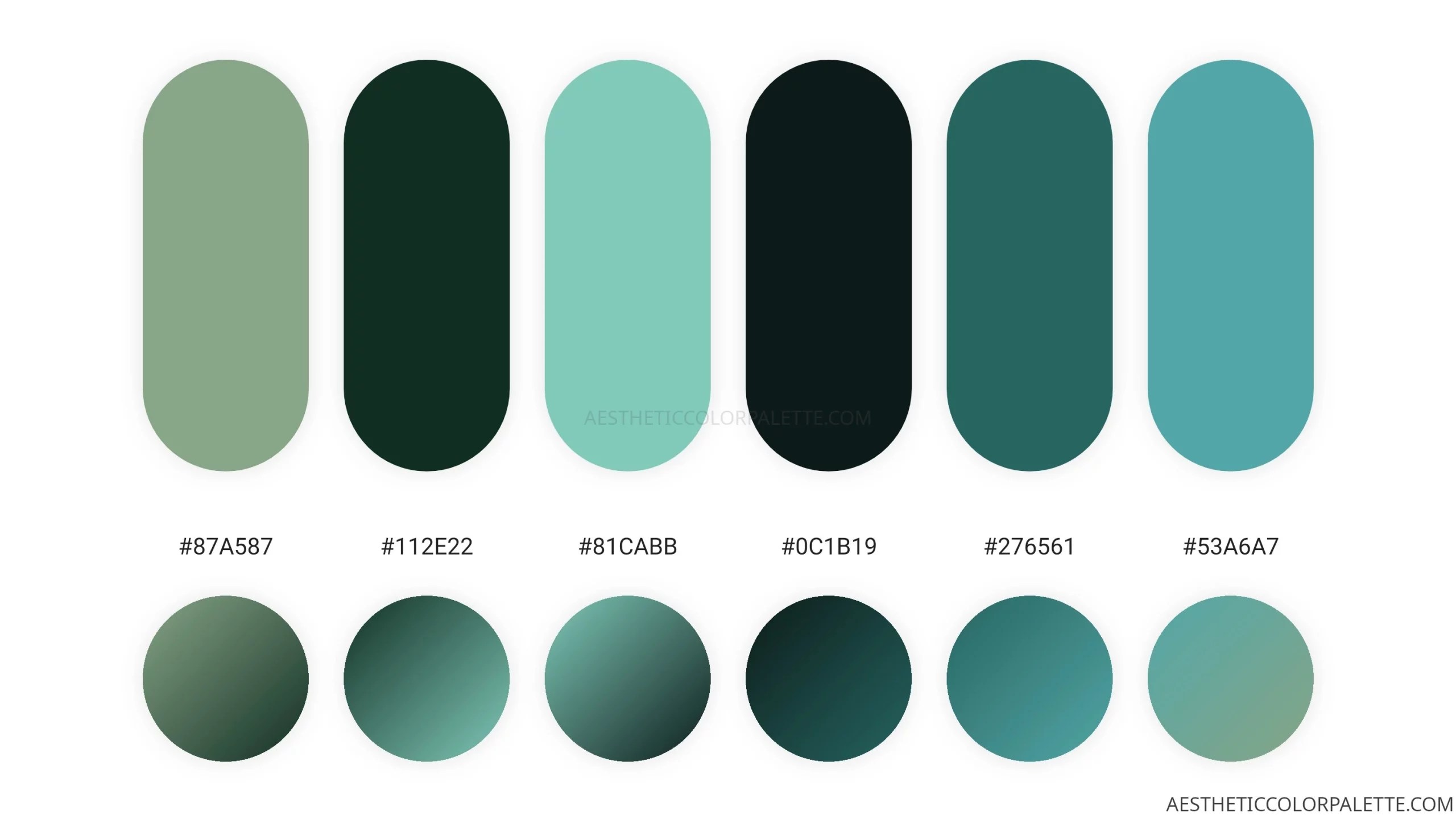 Marine Colors Aesthetic Color Palette