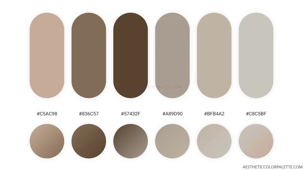 Seashell Colors Aesthetic Color Palette