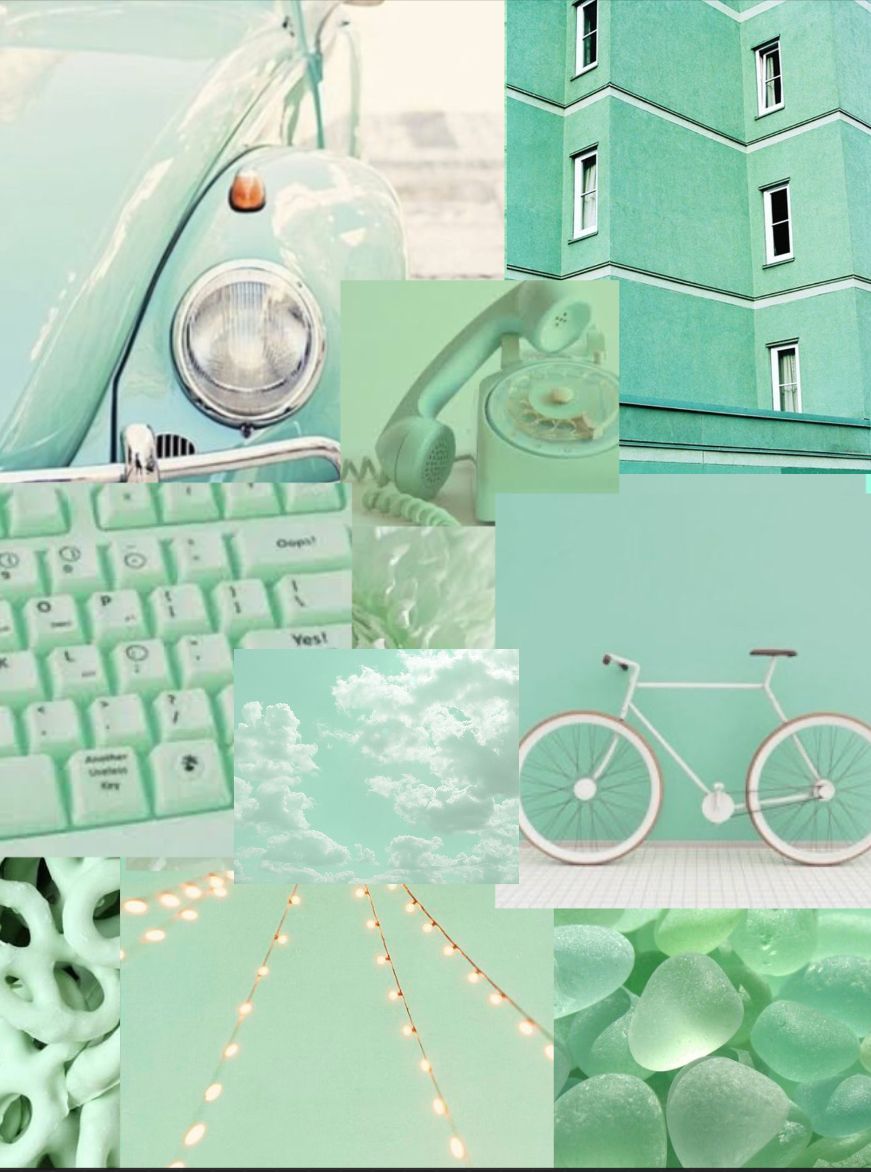 Green Aesthetic Wallpapers · 300+ Backgrounds 🌳🍀🐢