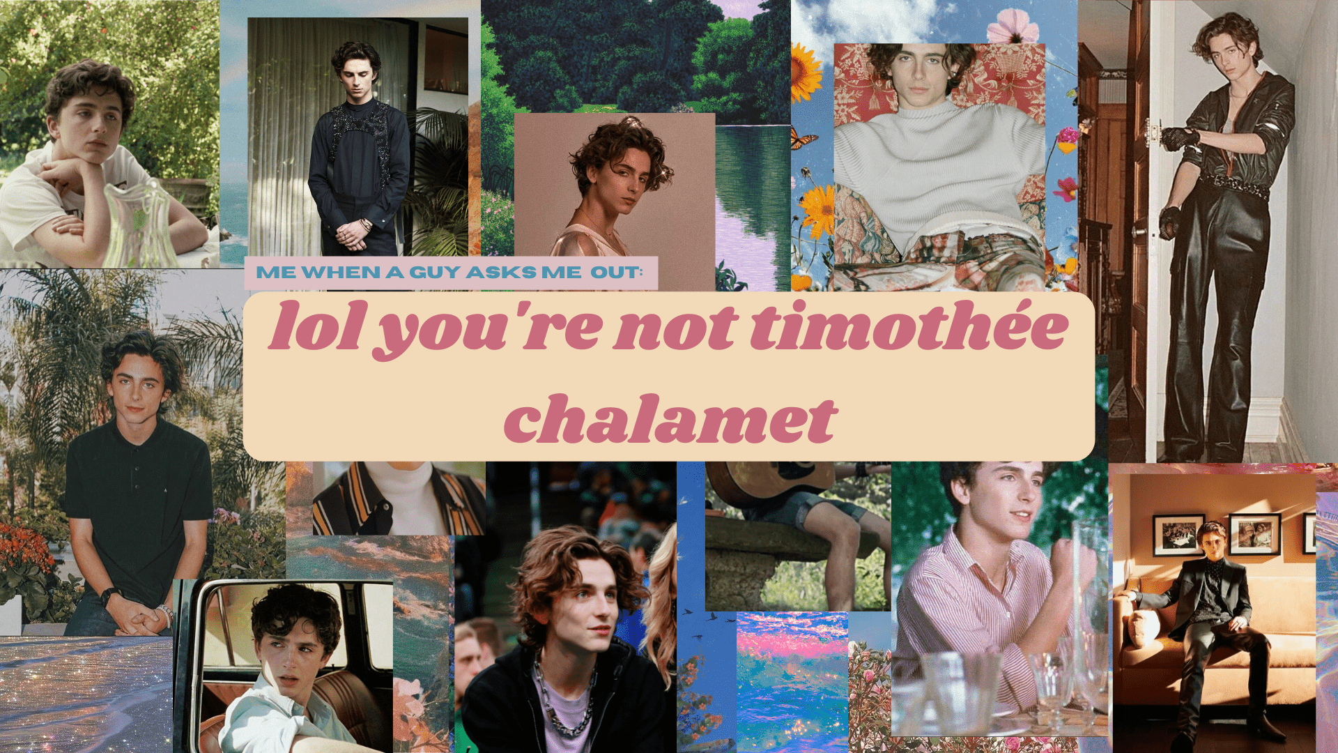 Lol Youre Not Timothee Chalamet Desktop Laptop By Aatghhgh
