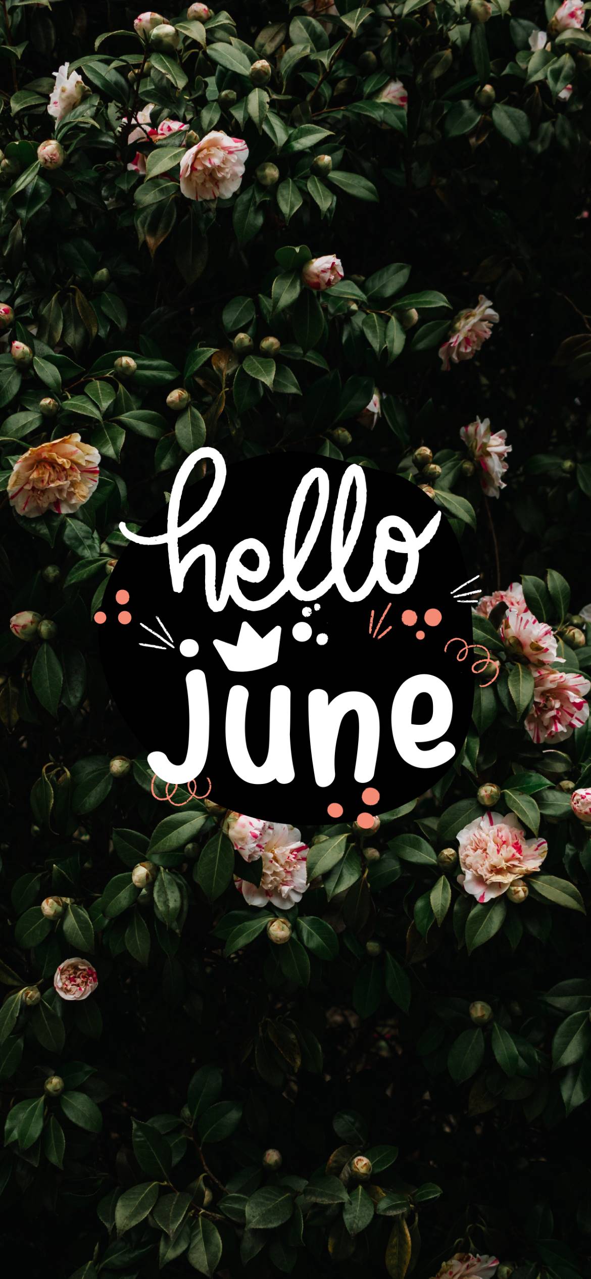 Hello June Beautiful Wallpaper & Ideas For June... by saudizion