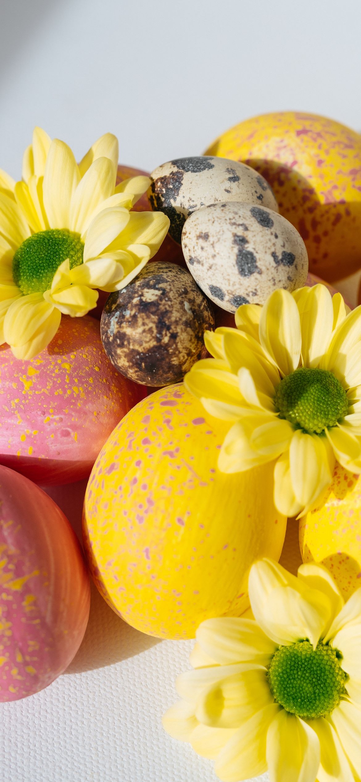 Easter Aesthetic Wallpapers 路 180+ Backgrounds 馃悋馃馃尭馃悾