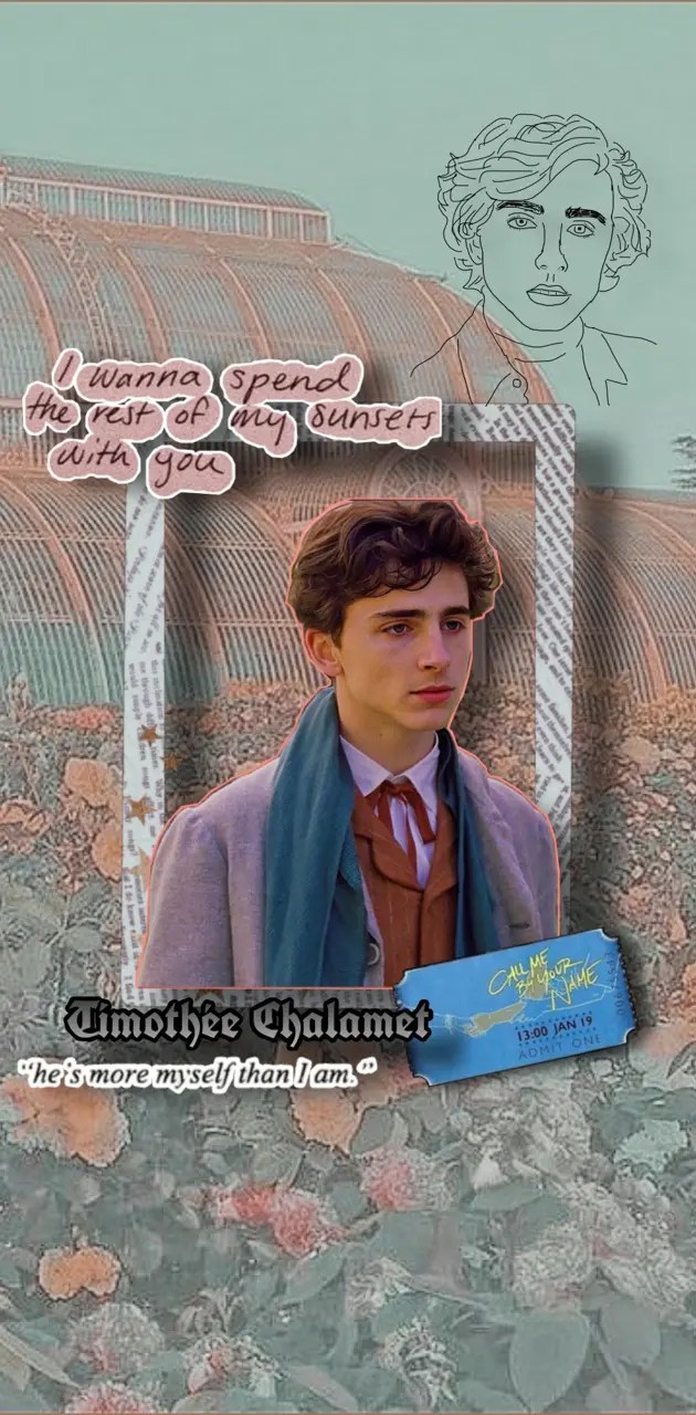 Timothee Chalamet Aesthetic Wallpapers 180