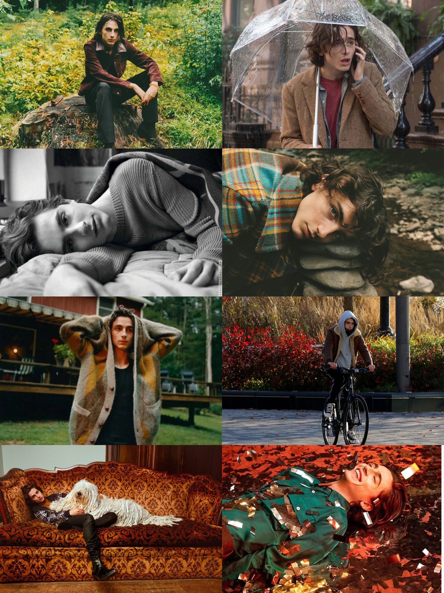 Timothee Chalamet Aesthetic Wallpapers 180