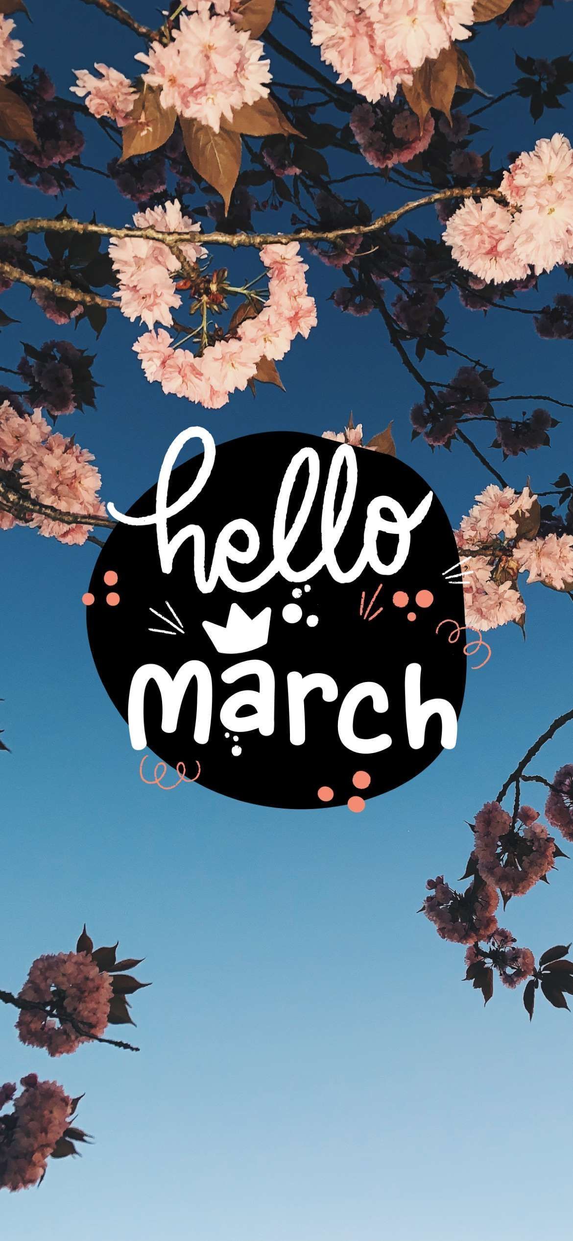March Aesthetic Wallpapers · 70+ Backgrounds 🌸🌦️🪴🐰