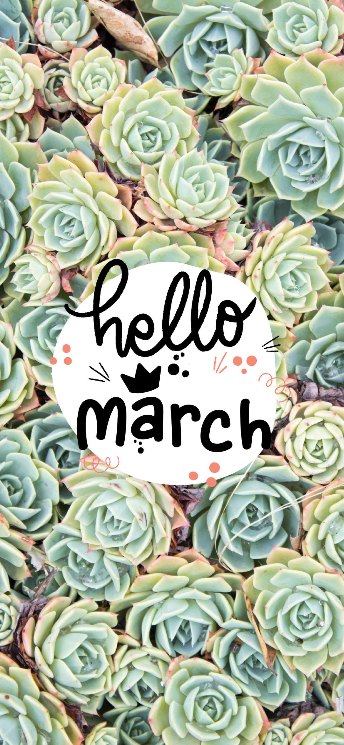 March Aesthetic Wallpapers · 70+ Backgrounds 🌸🌦️🪴🐰