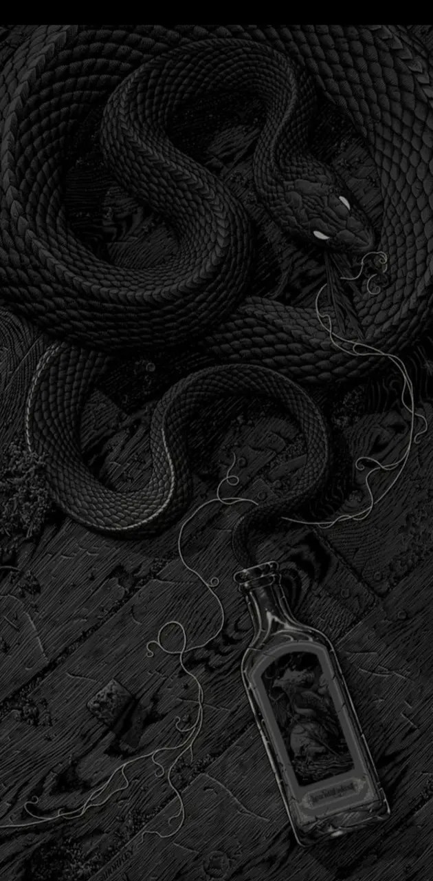 Snake Aesthetic Wallpapers · 200+ Backgrounds 🐍