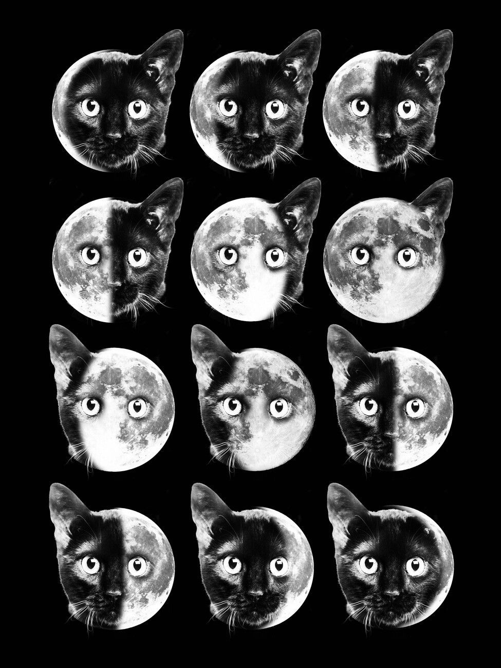 Cat Moon Phases Wall Mural by DragynSlayr