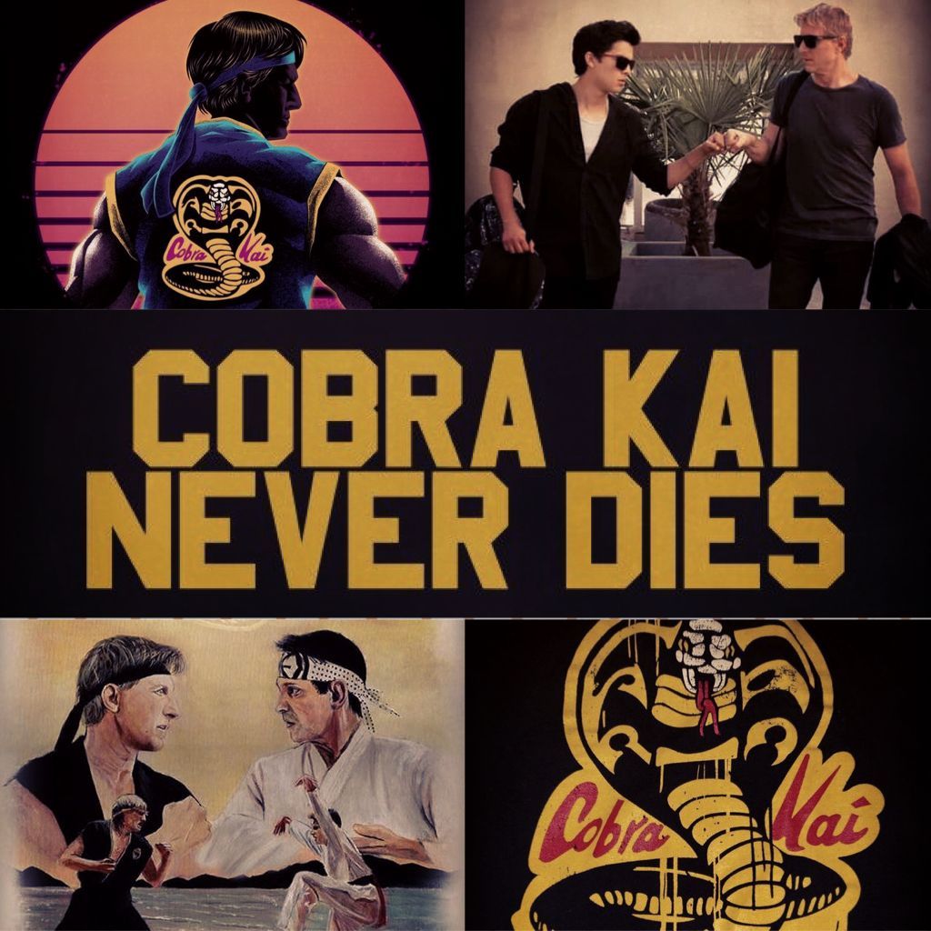 Cobra Kai Aesthetic Wallpaper by thisisadhominembut