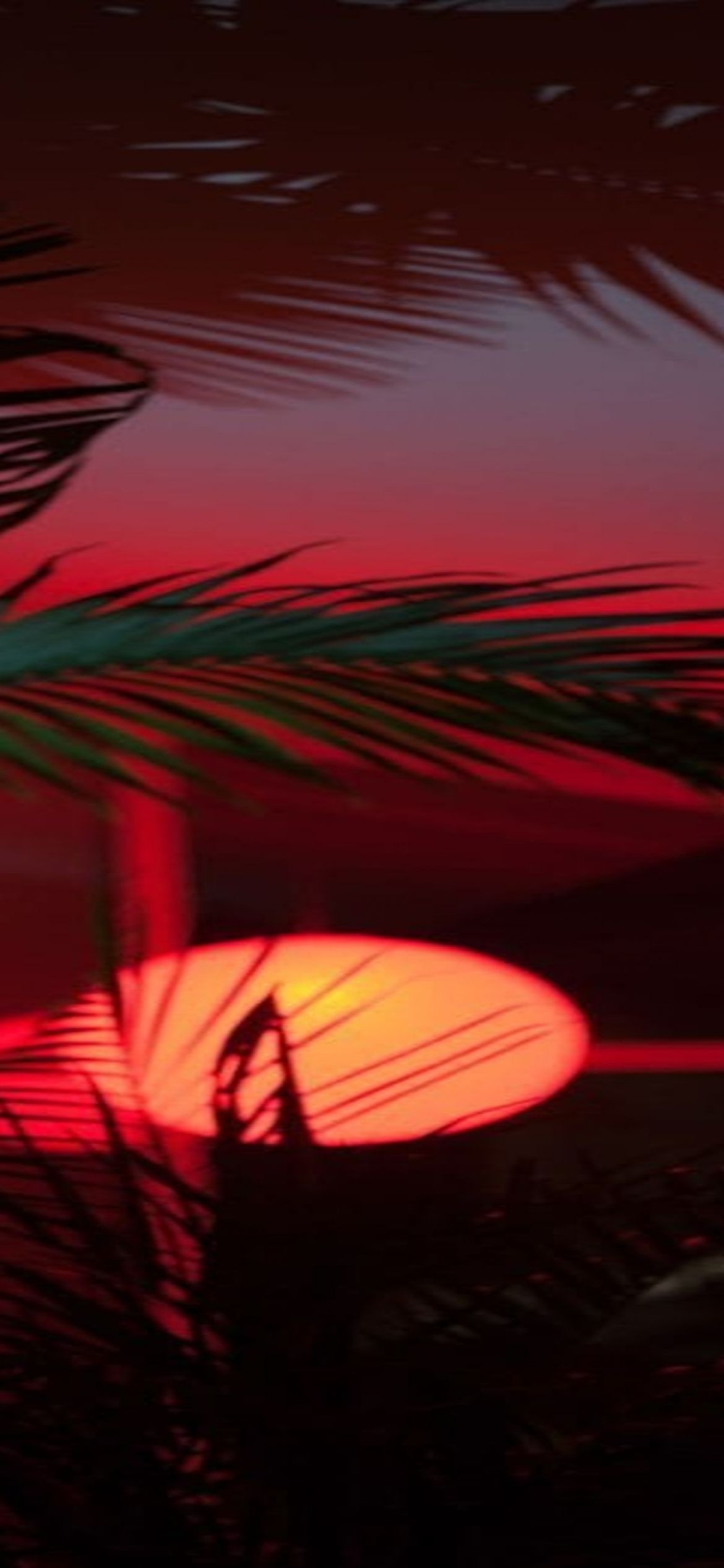 Download Red Aesthetic iPhone Wallpaper Wallpaper by farziq