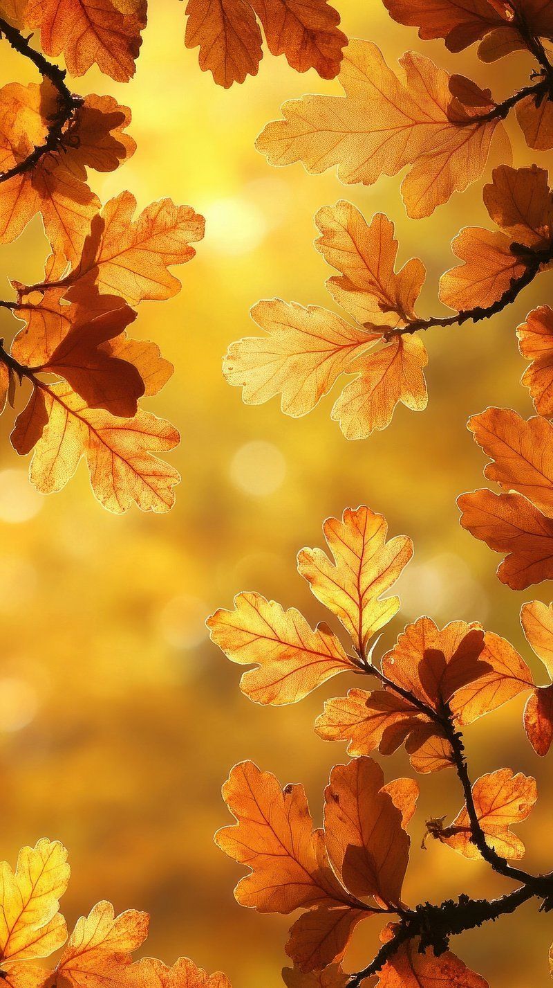 IPhone Wallpaper Autumn Image. Free by