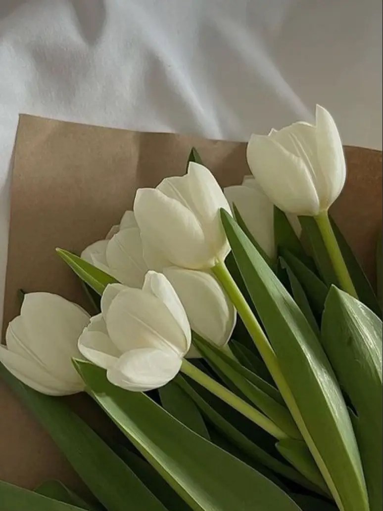 Aesthetic flower wallpaper ideas by