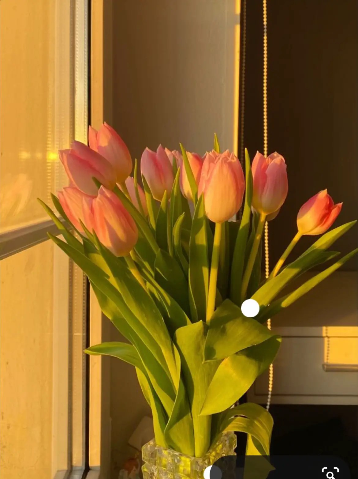 Aesthetic flower wallpaper ideas by