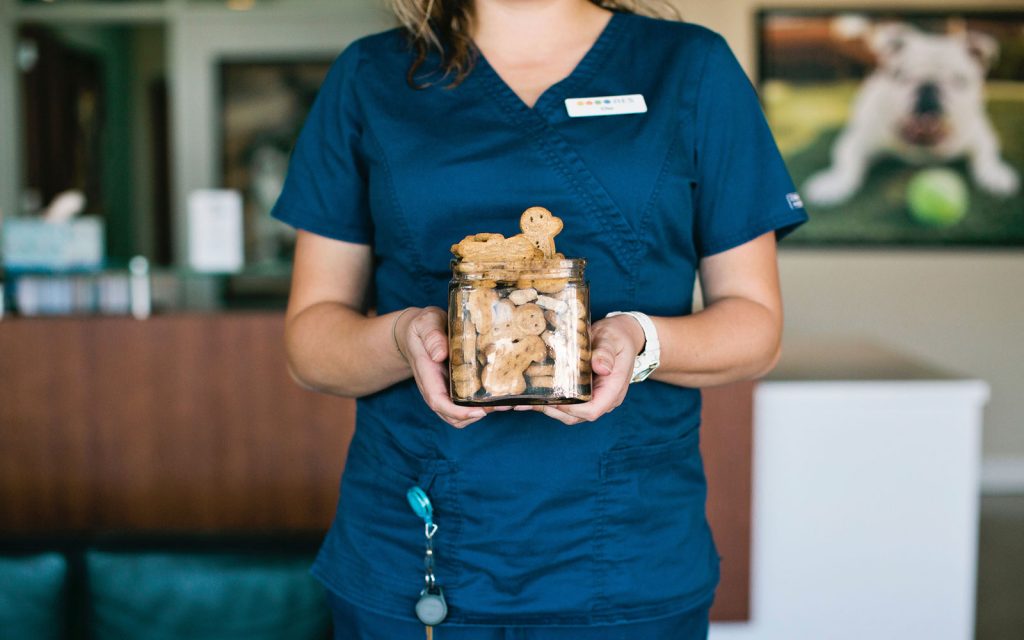 The AES Difference Familyowned 24hour Vet Clinic since 1980