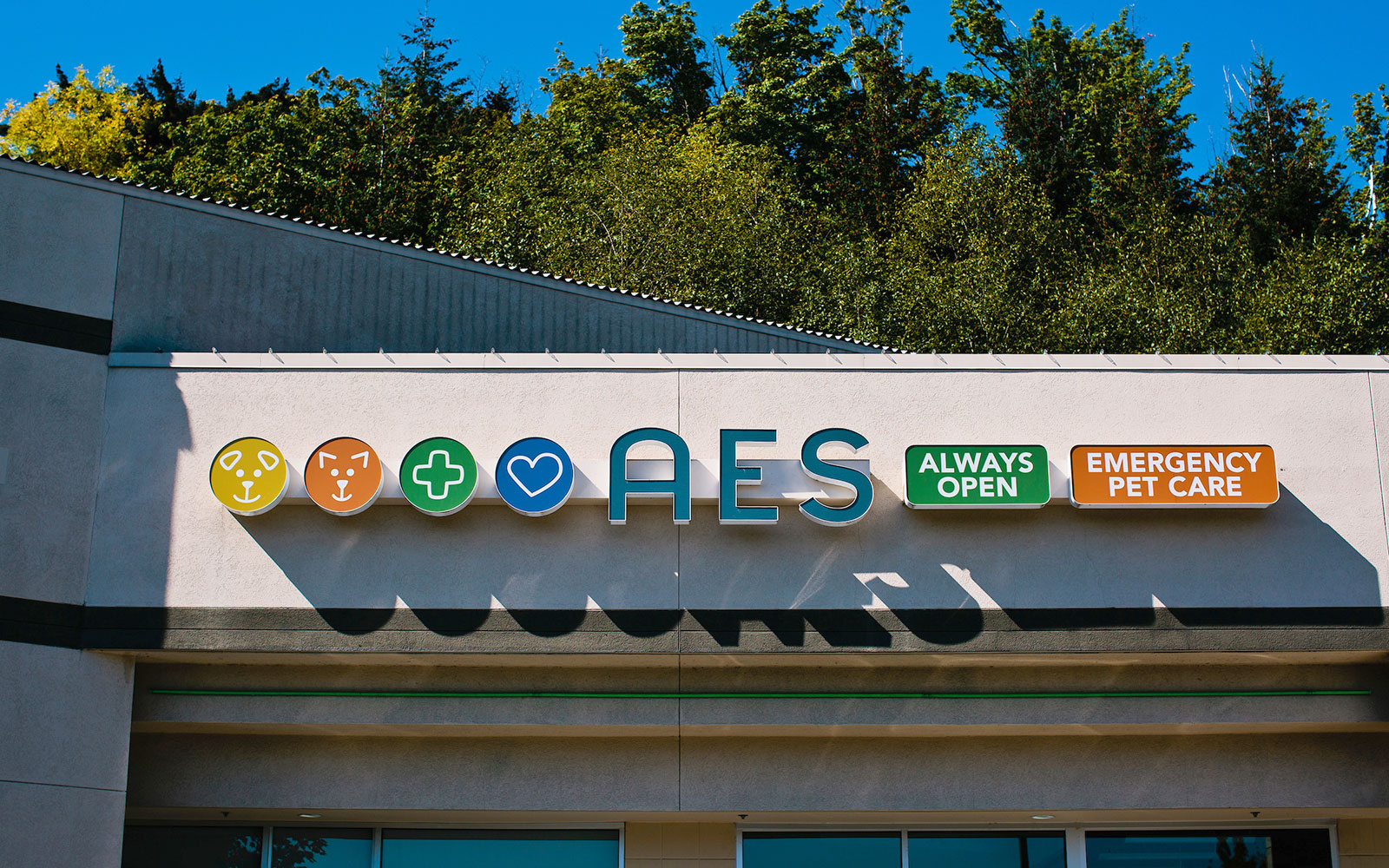 24hour Emergency Vet Hospital in Kirkland, WA Animal Emergency & Specialty