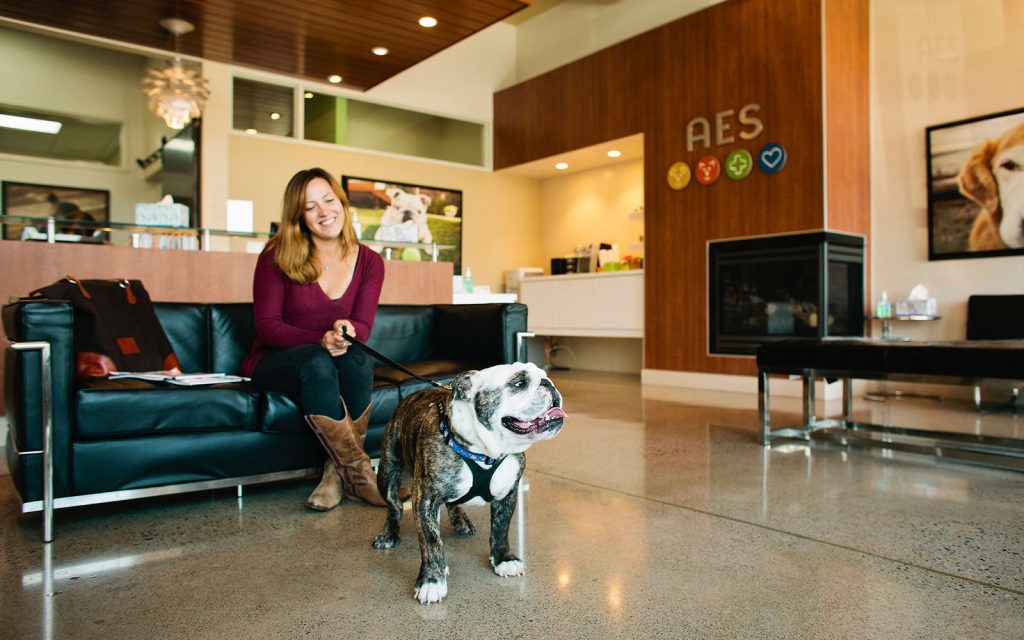 Your First Visit to Animal Emergency & Specialty emergency vet hospital