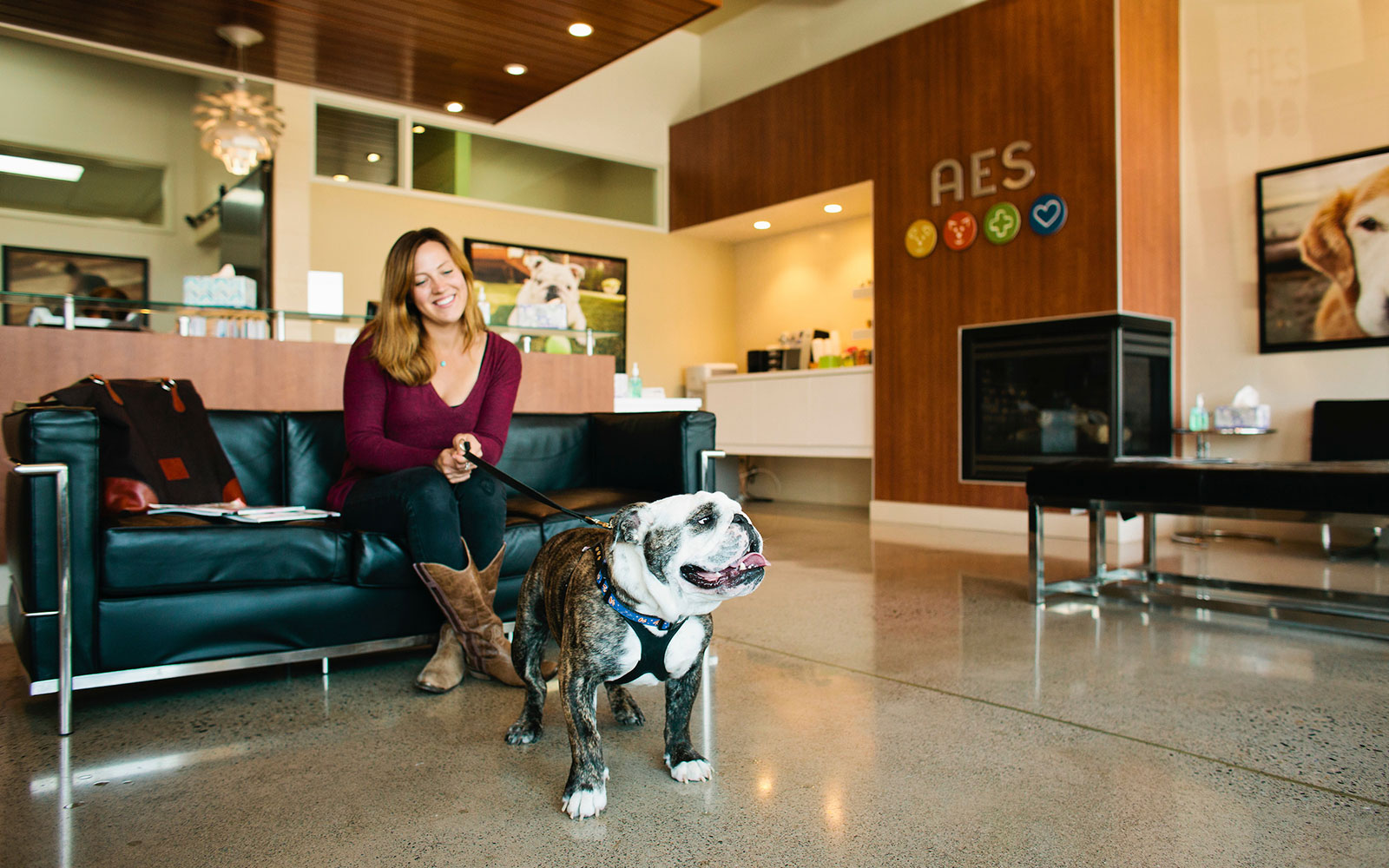 Animal Emergency & Specialty New 24Hour Specialty Animal Hospital