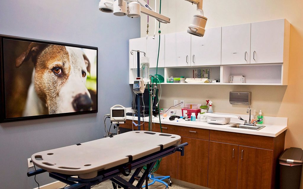 AES Services Radiology