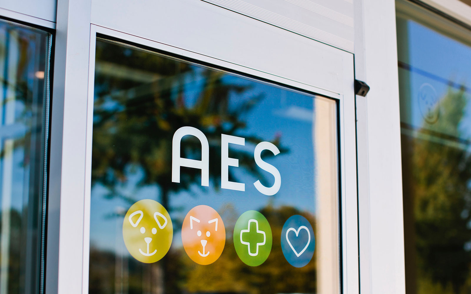 AES FAQ's Payment Options