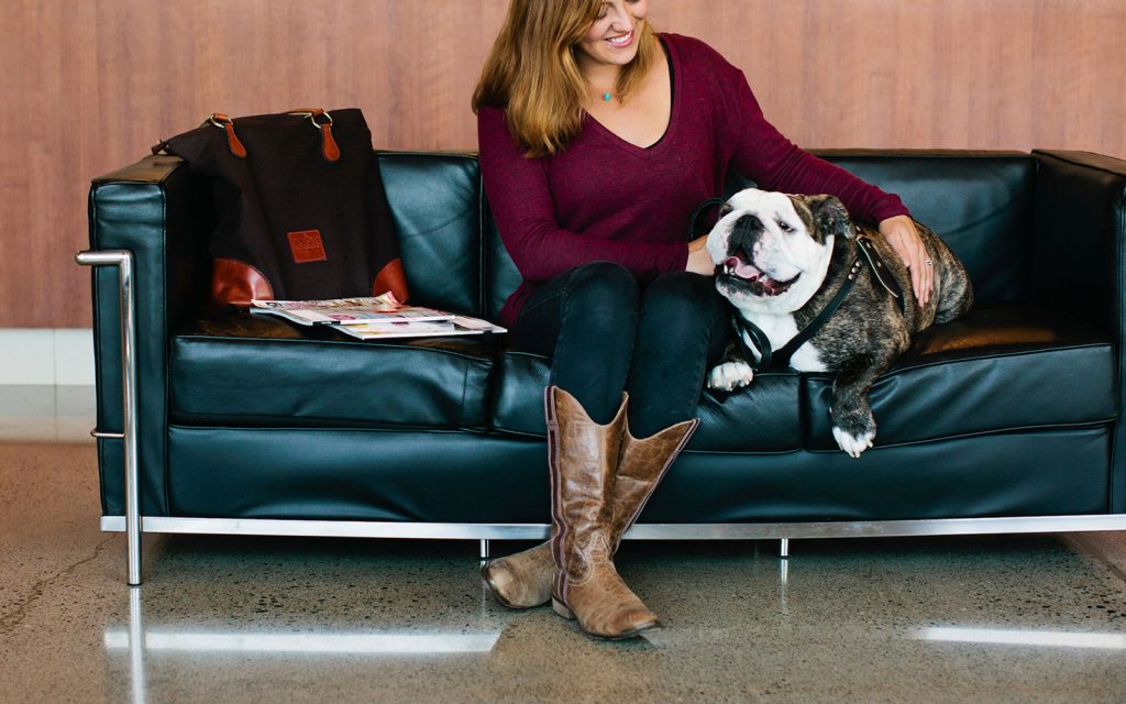 Animal Emergency & Specialty 24Hour Animal Hospital in Kirkland