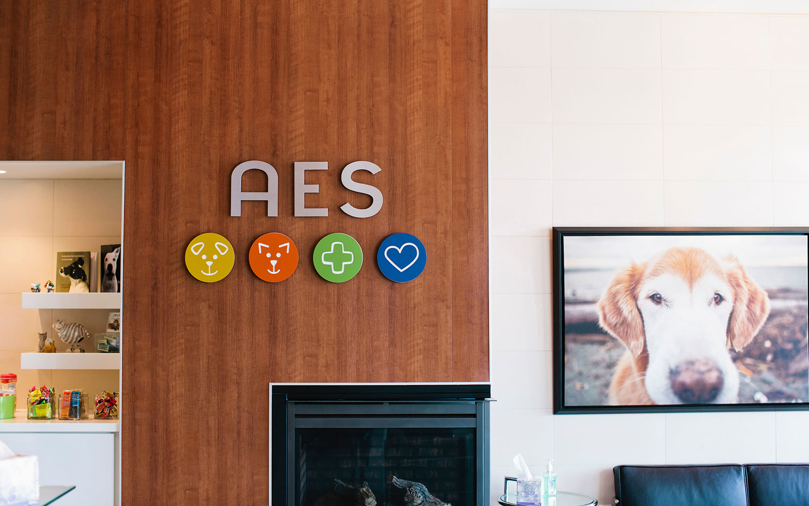 Animal Emergency & Specialty New 24Hour Specialty Animal Hospital