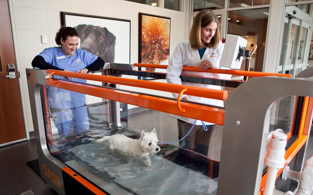 AES for Referring Doctors