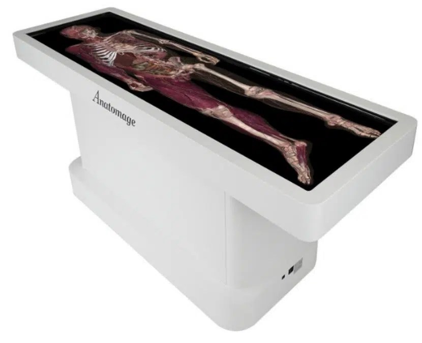 Anatomage Table for Anatomy Learning New England AET Labs