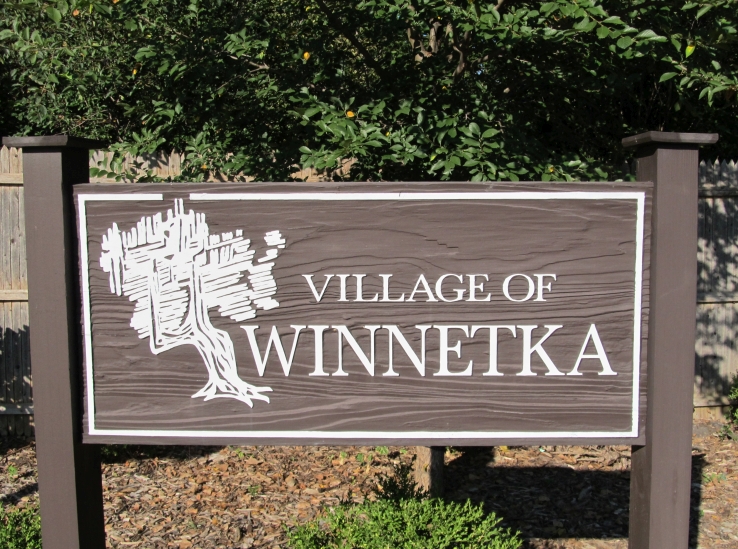 Limo Service Prom Party Bus SUV Car Service AEX LIMO