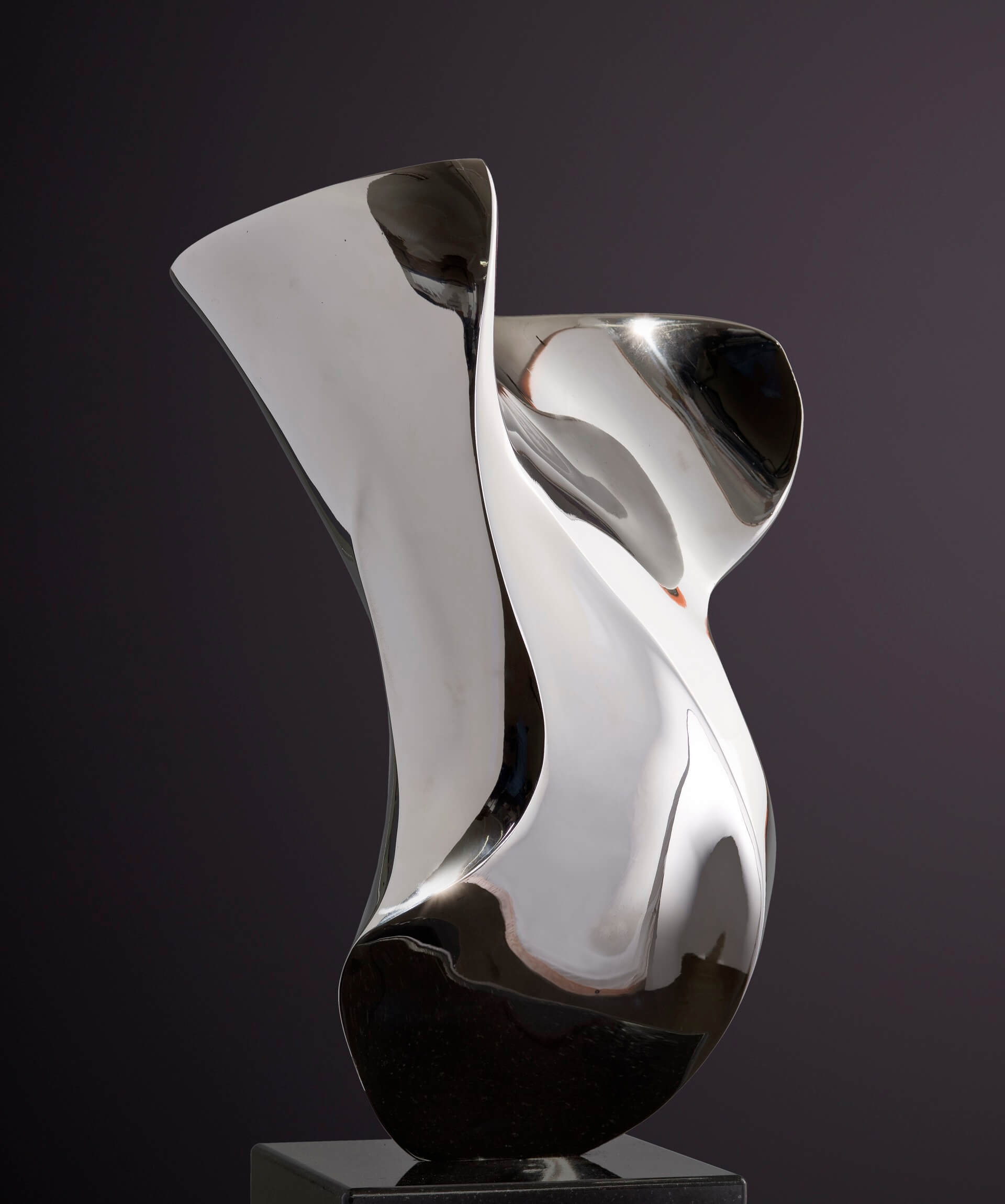 STAINLESS STEEL American Fine Arts Inc.