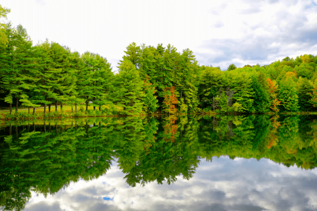 Weekly Real Estate Sales Reports Fairfield County Real Estate Guide