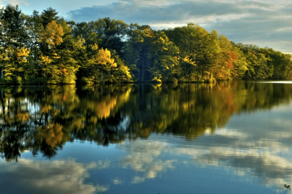 Weekly Real Estate Sales Reports Fairfield County Real Estate Guide