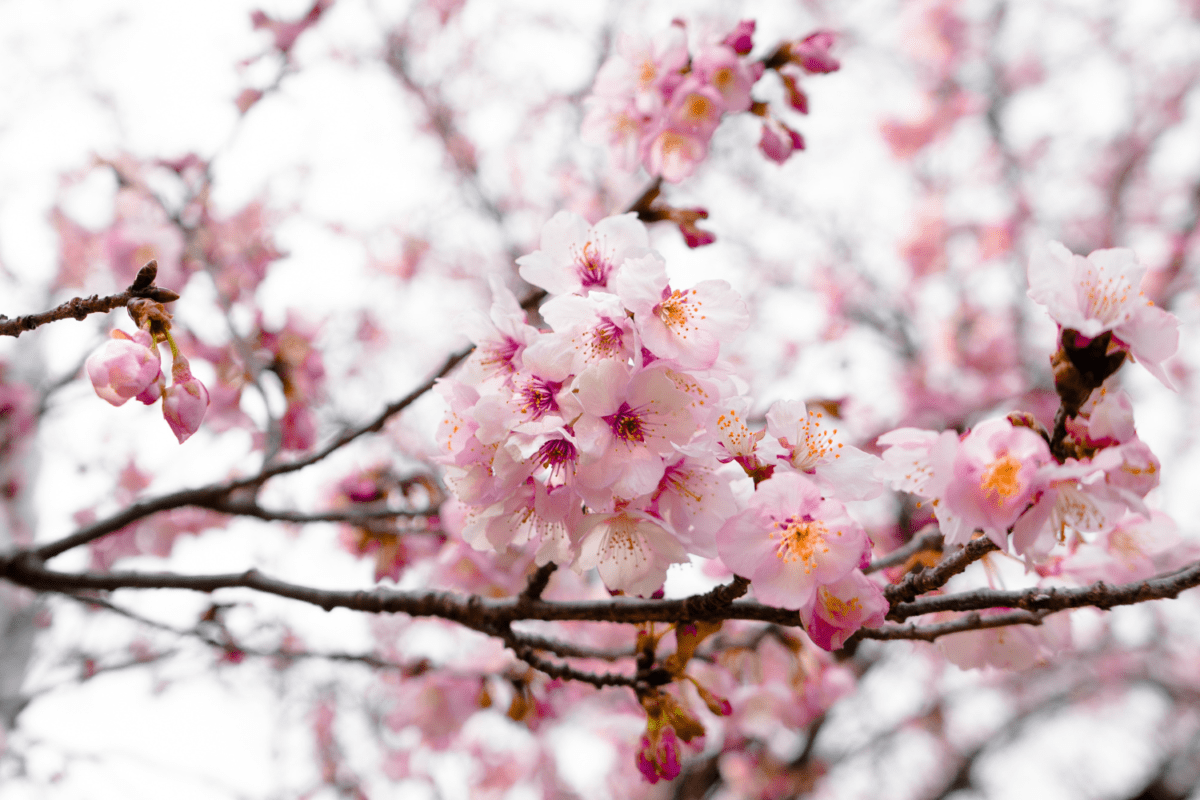 Fairfield, CT Real Estate Weekly Report for 2/26 3/4/23 Fairfield