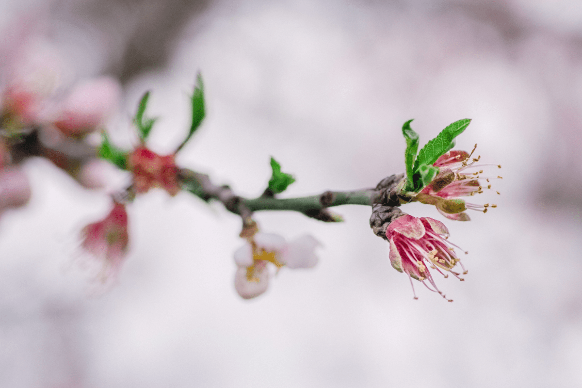 Fairfield, CT Real Estate Weekly Report for 3/5 3/11/23 Fairfield