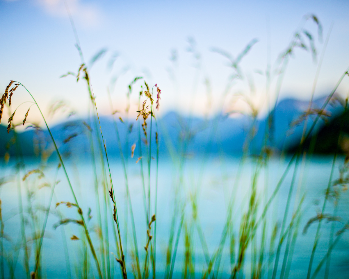 Fairfield, CT Real Estate Weekly Report for 11/1911/25/23