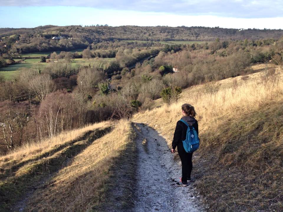 A winter walk up Box Hill, Surrey A family day out