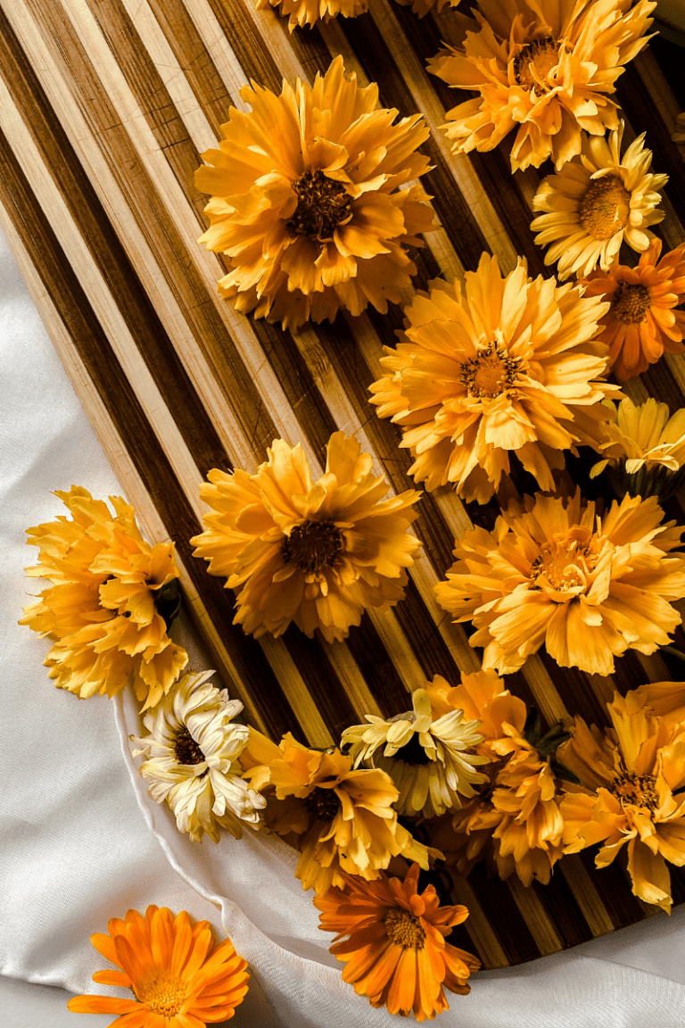 5 of the Best Flowers to Use to Make Yellow Natural Dye A Farm to Keep