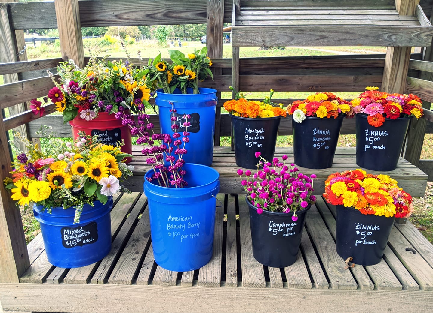 Visit a Local Arkansas Flower Farm Farm Bureau Insurance