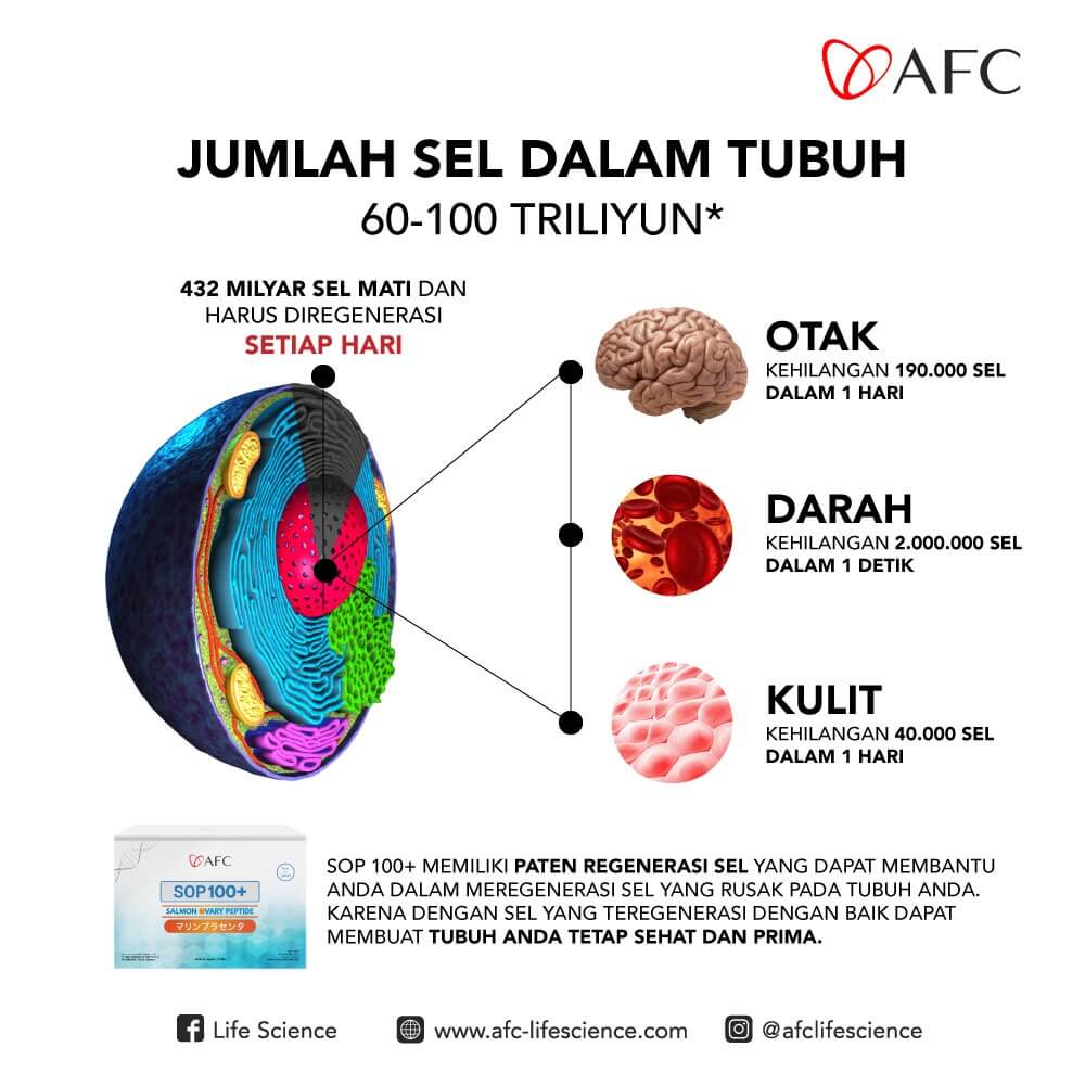 Stem Cell Therapy dengan SOP 100+ dan Subarashi