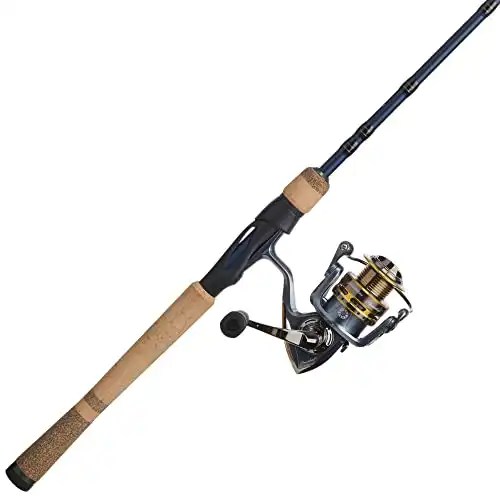 Best Rod And Reel Combo For 2024 Fishing Rod And Reels