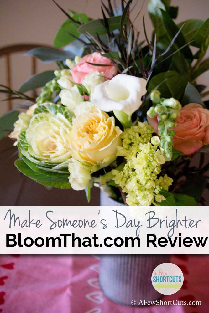 Make Someone's Day Brighter Review A Few Shortcuts