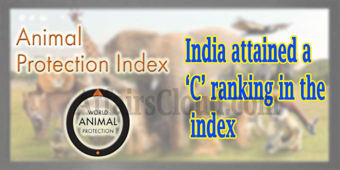 India Gained C Grade, No Country Made Up To A Grade: Animal Protection Index 2020
