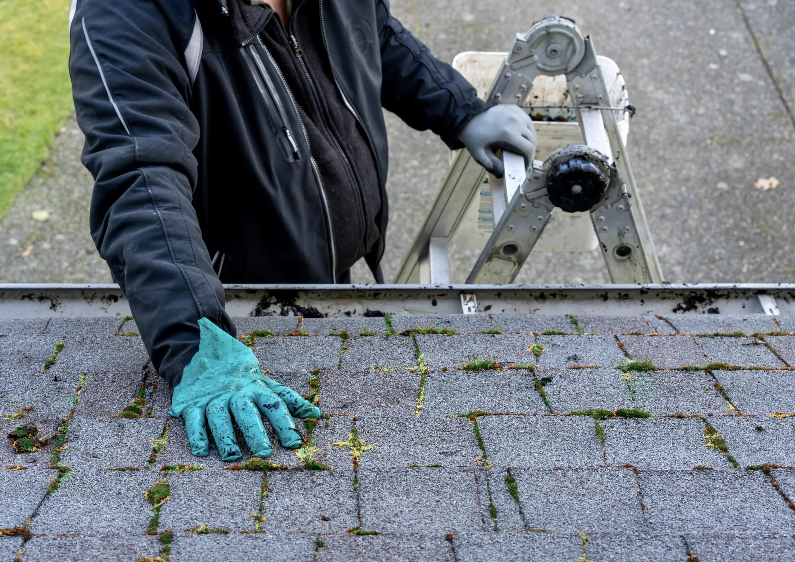 How To Clean Roof Stains Affiliated Building Maintenance