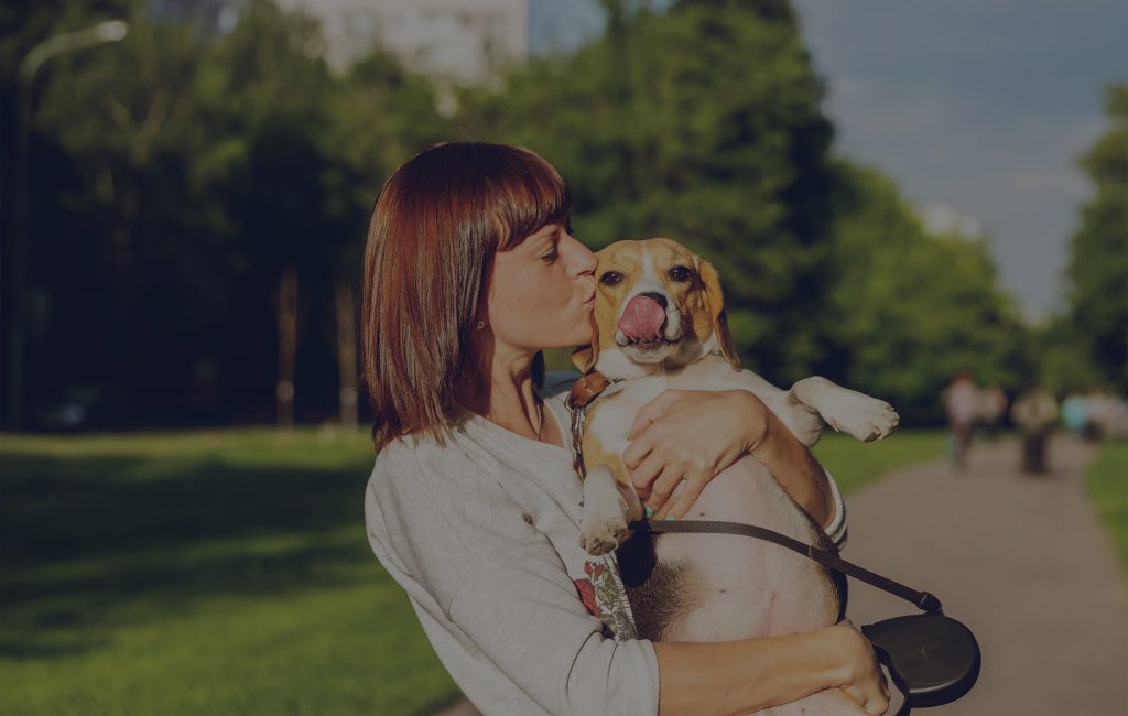 The Best Dog Walks In Manchester Affinity Living