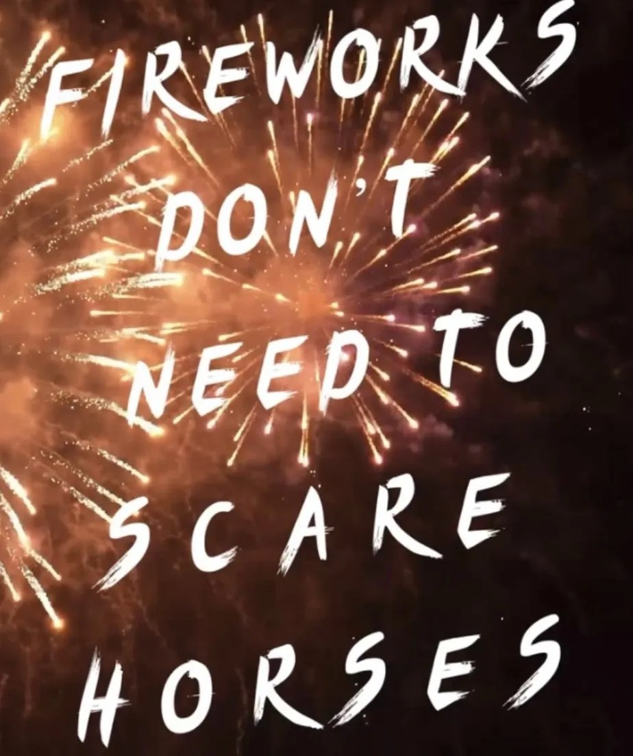 Getting Horses Used To Fireworks In Four Easy Steps! Affinity With Equus