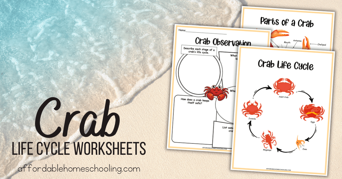 Free Printable Crab Life Cycle Worksheets for Kids