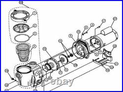 011515 WhisperFlo High Performance 2HP Pool Pump replacement PC&G-Nidec