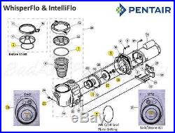 Pentair WhisperFlo, IntelliFlo #100 COMPLETE Pump O-Ring Rebuild Kit