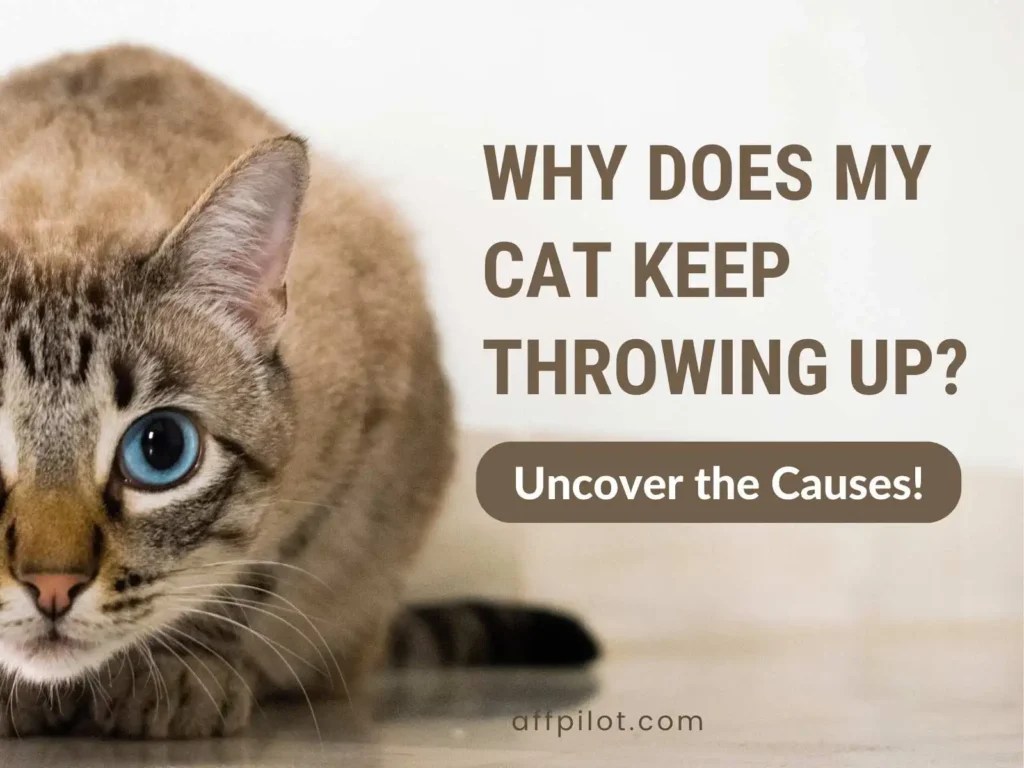 Why Does My Cat Keep Throwing Up? Uncover the Causes! Affpilot AI