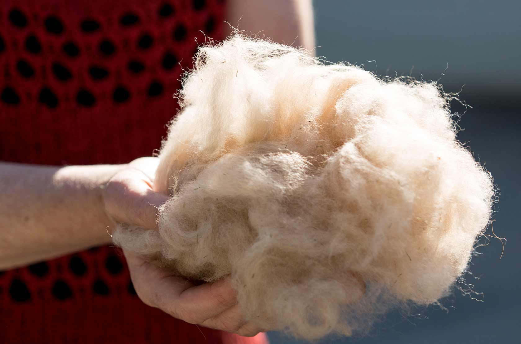 Shop A Fiber Life Guanaco Fiber, Yarn, and Garments